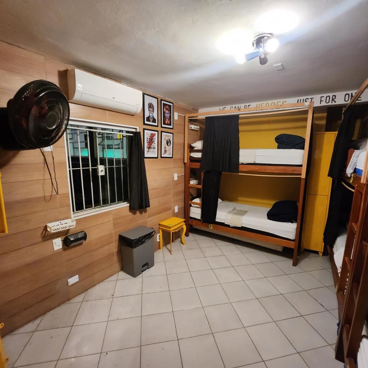 Bunk Bed Mixed Dormitory Room