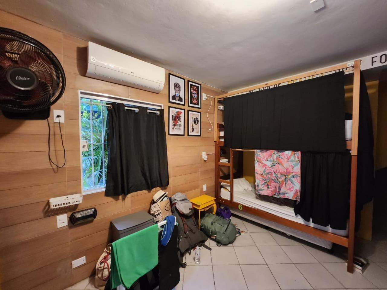 Bunk Bed Mixed Dormitory Room