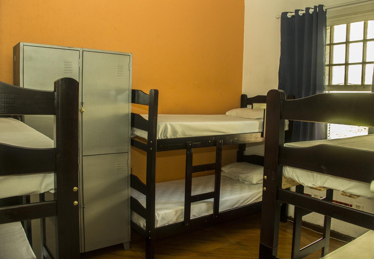 Single Bed in Mixed 6-Bed Dormitory Room