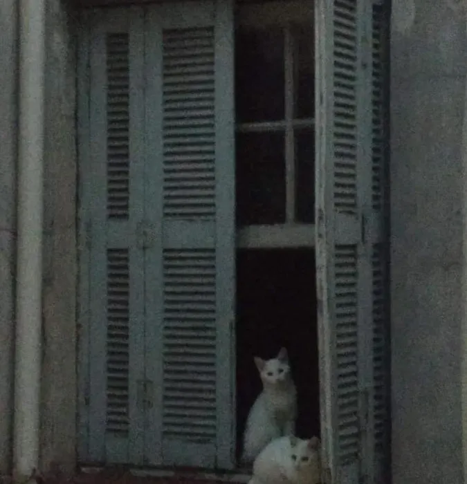 Quarto Em Casa Atelie Com Sol No Quintal-1
