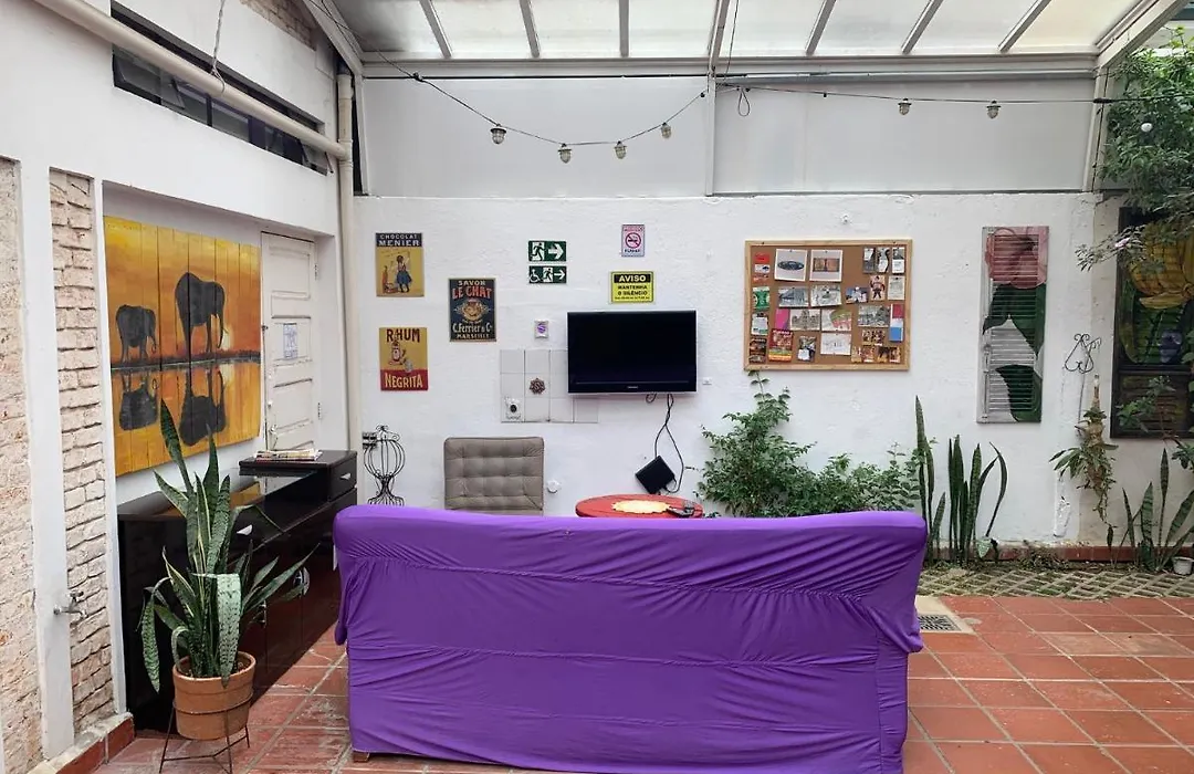 Purple House Hostel-1