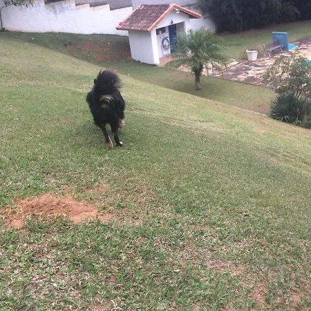 Chacara Vovo Joao-3