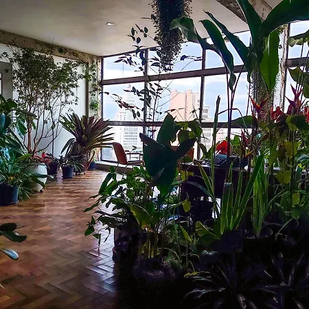 Andar43, Selva Urbana Nas Alturas De Sao Paulo-2