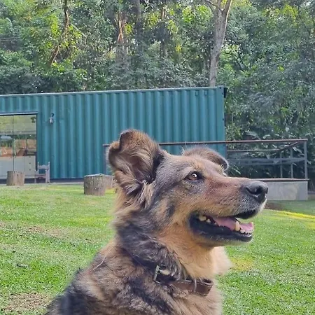 Casa Container Na Represa De Guarapiranga! Sonho!-3