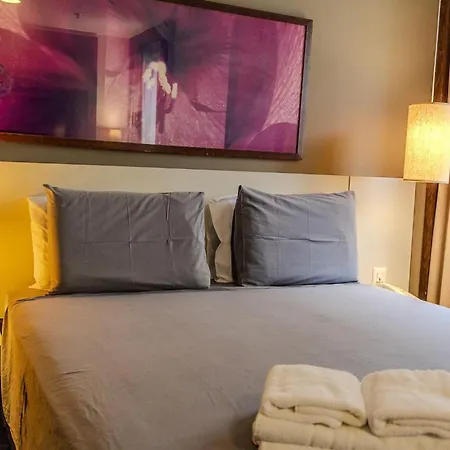 Elegant Flat Paulista Alameda Campinas Garagem , Pool, Ar Cod,-2