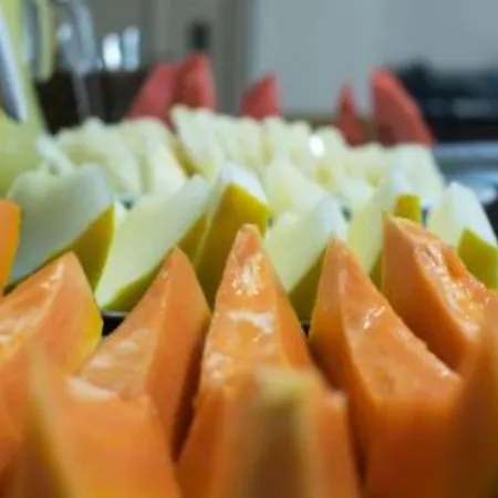 Paulista Garden Hotel-3