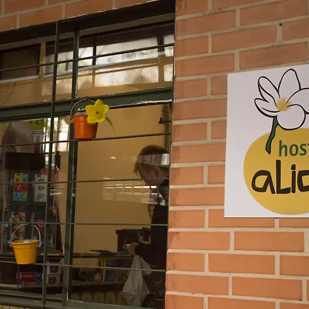 Hostel Alice E Padoca Vegan-3