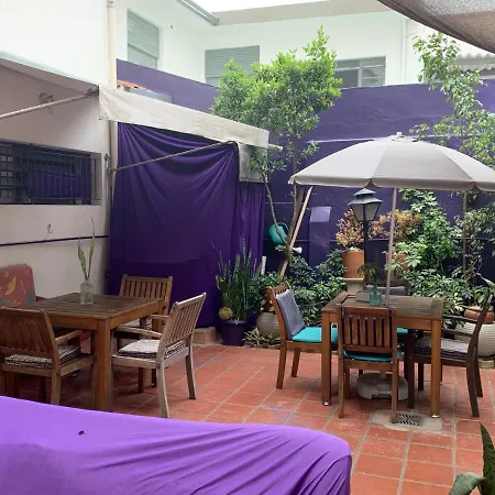 Purple House Hostel-3