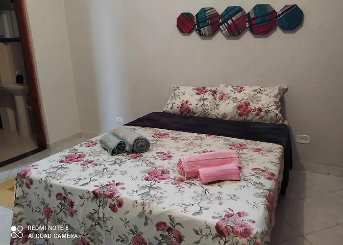 Studio Vila Nivi Apartamento São Paulo aceita animais de estimação