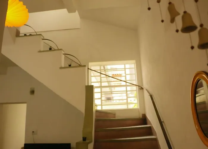 Kambo Hostel São Paulo aceita animais de estimação