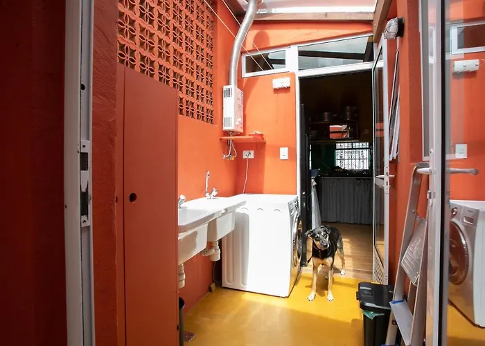 Chale 3 De Maio Vila São Paulo aceita animais de estimação